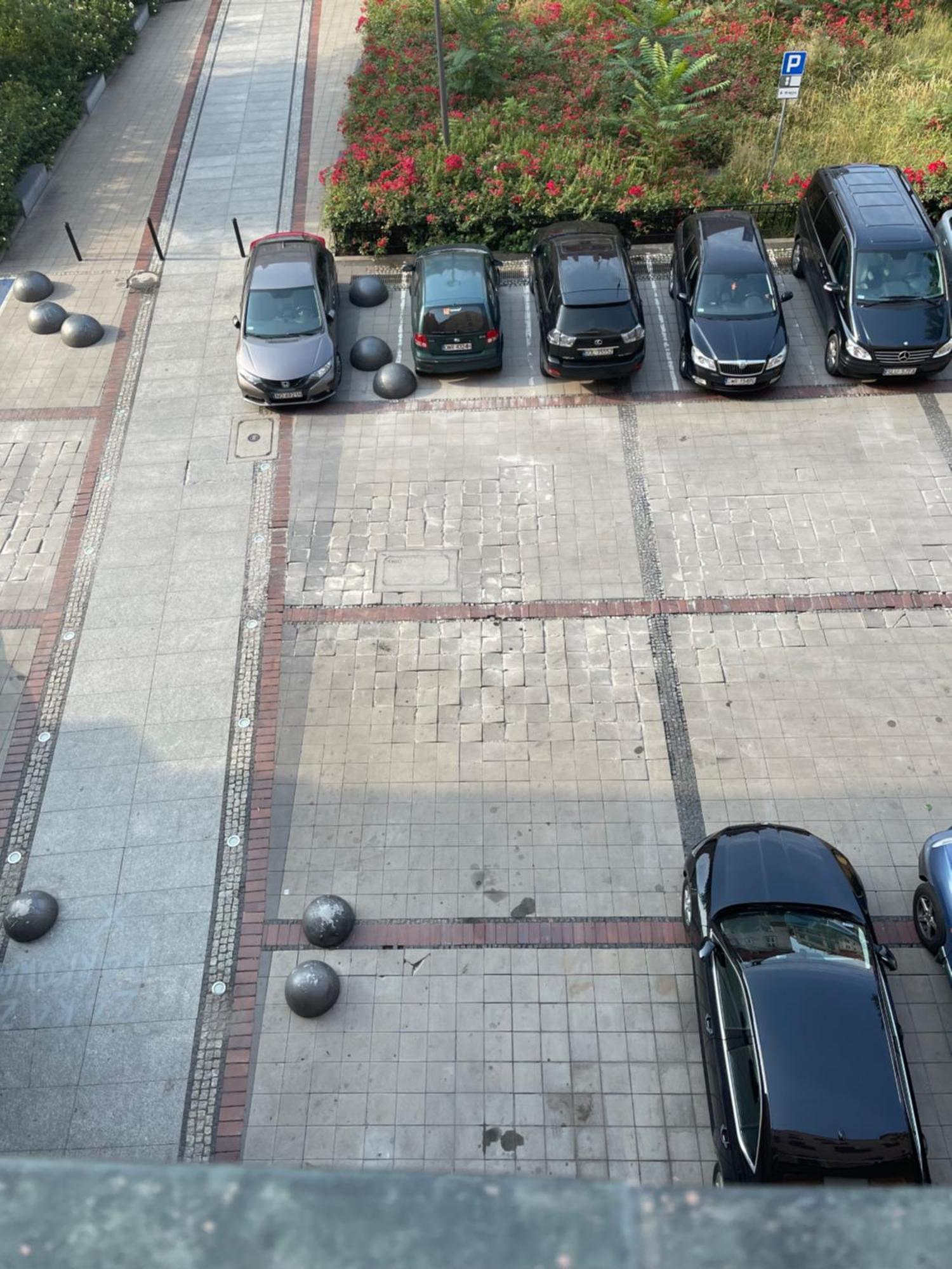 Rynek Pod Fredra Lägenhet Wrocław Exteriör bild